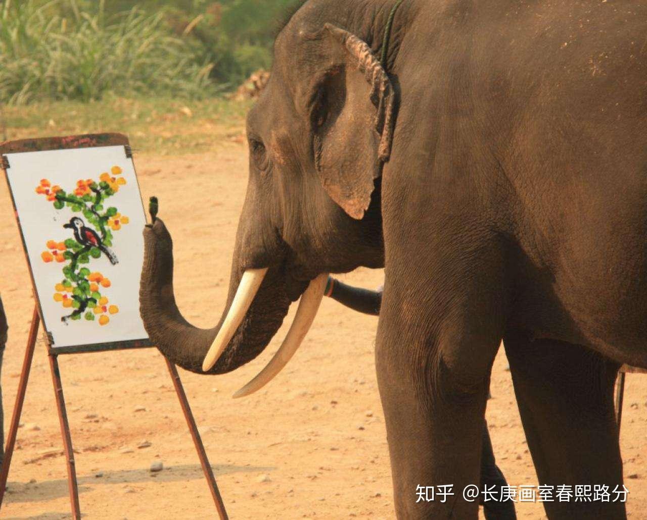 简笔画图片教程 大象的画法图解💛巧艺网