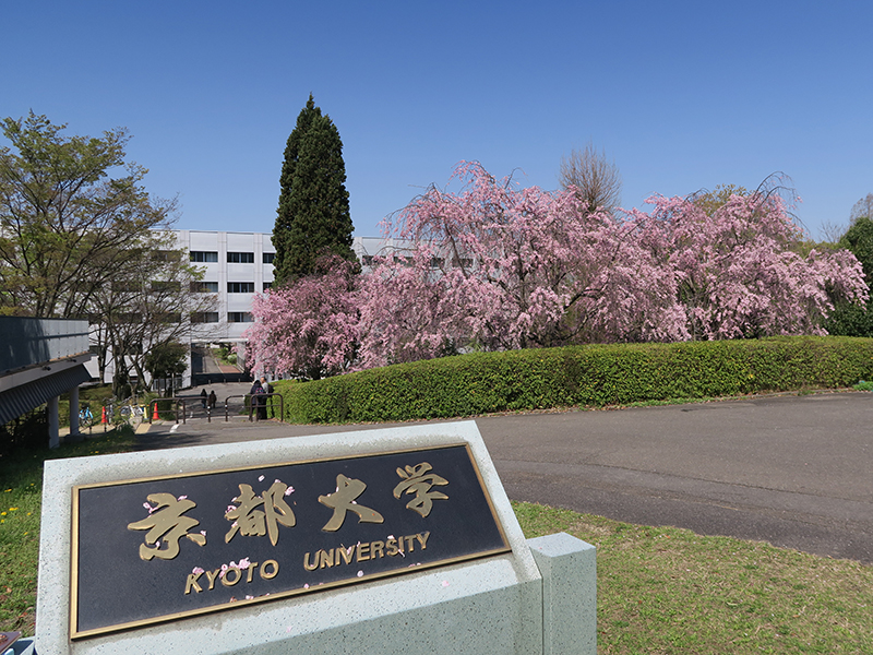 京都大学新设奖学金,总额高达25亿日元!