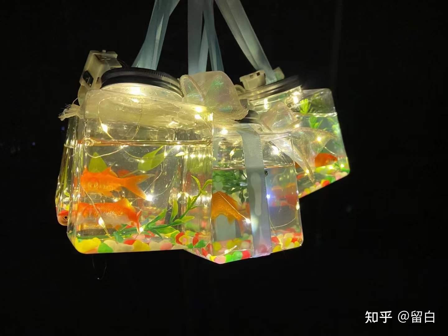 有啥投资小利润高的小项目(最热门的投资小利润快的生意)