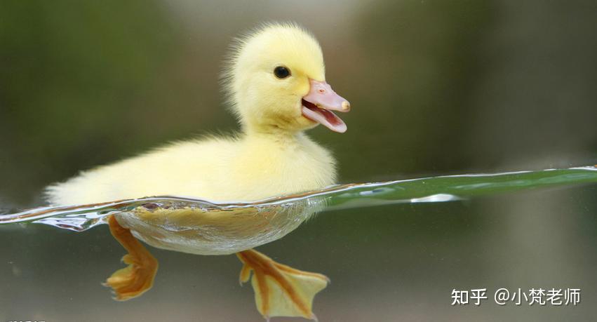 创意儿童画孩子画成什么样才算好