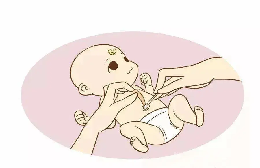 新生儿脐带缠纱布图片图片