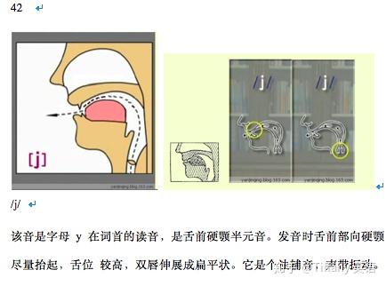 48个国际音标发音舌位图 - 知乎