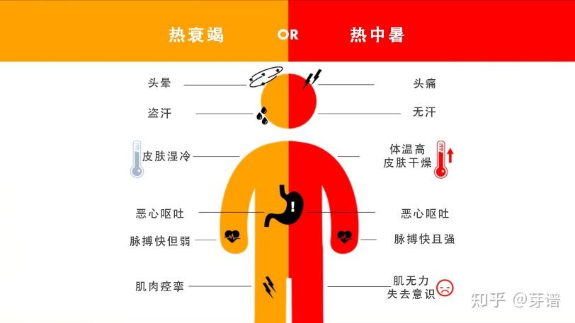 天热了,中暑了,这7件事必须要做! - 知乎