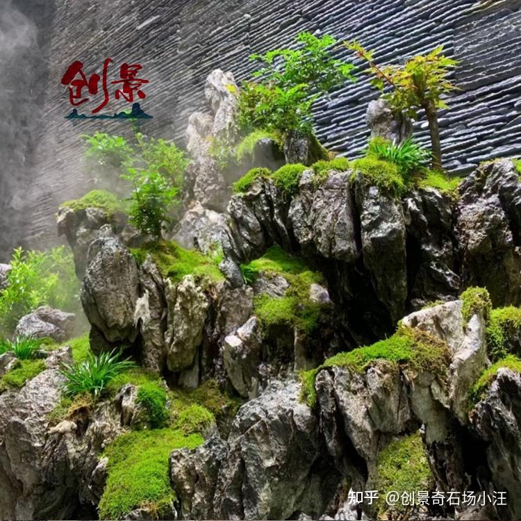 中国青龙石产地分布,青龙石是英德石英石,摆青龙石造景教程 - 知乎