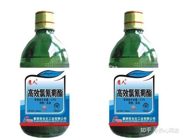 虫见愁丨拟除虫菊酯类杀虫剂在水产养殖中的作用及风险