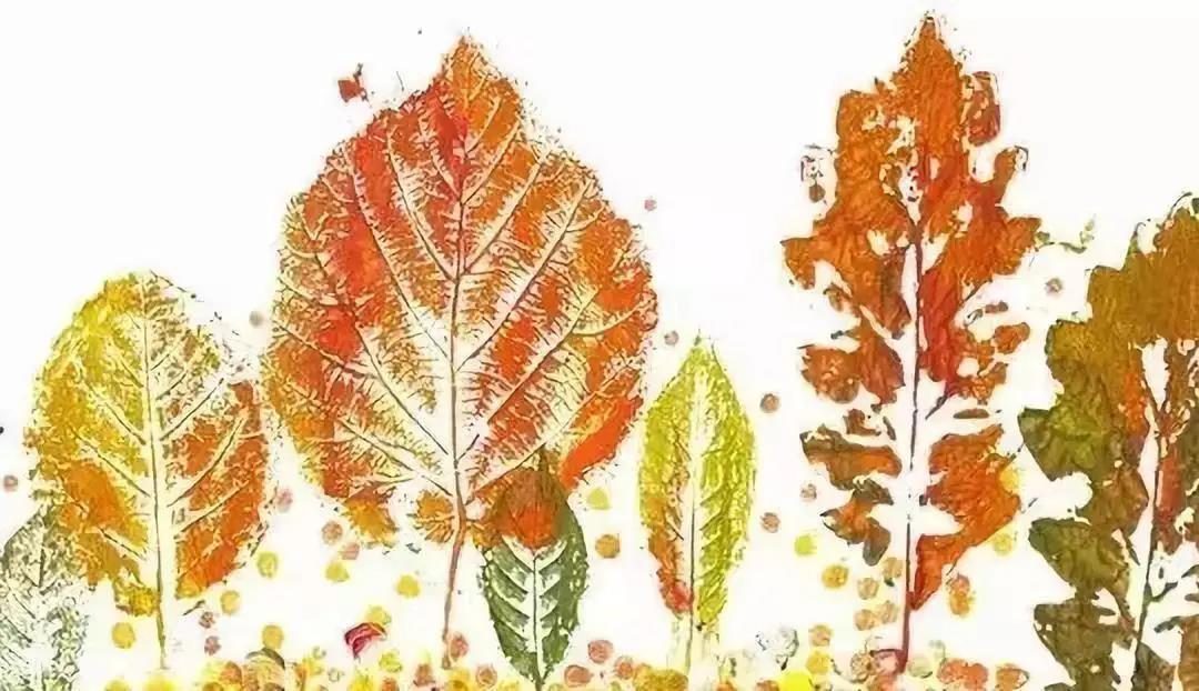 树叶拓印画 秋天图片