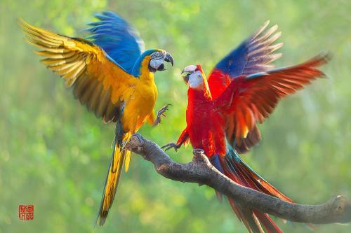 v2-374e1a320a7e7d4d271e658f43f65840_1440w.jpg?source=172ae18b