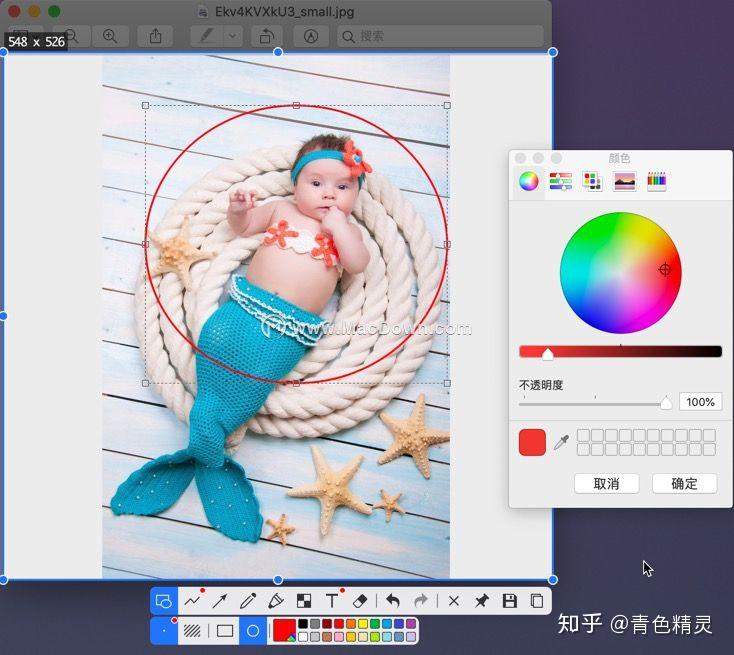 download Snipaste 2.8.5