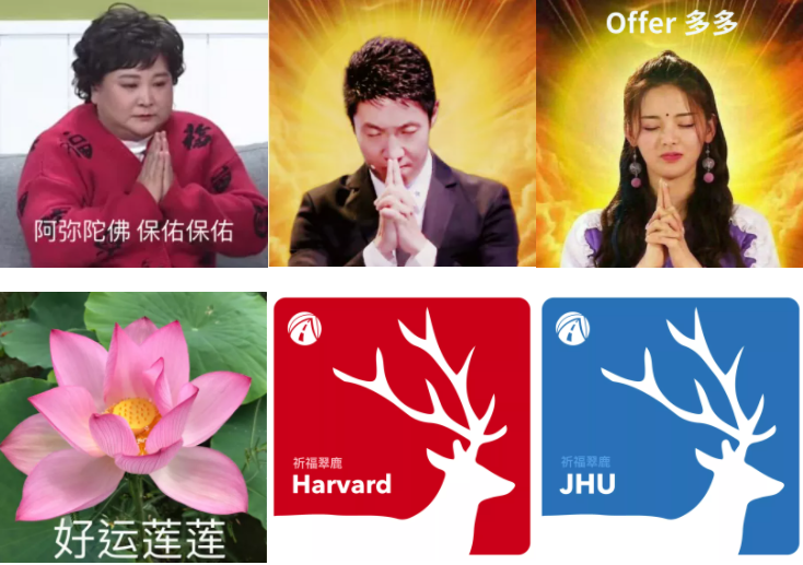 全家人动作整齐划一换上了"幸运使者"或者"名校offer收割者"的头像