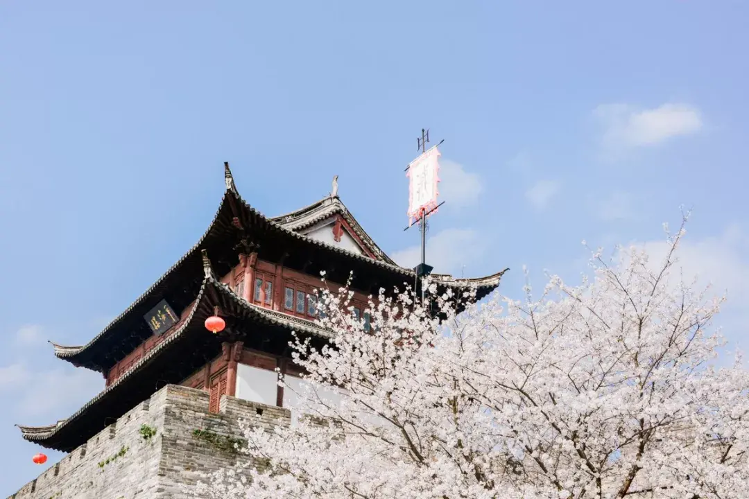 千年府城里的野生力量和有趣的人在一起到底有多爽