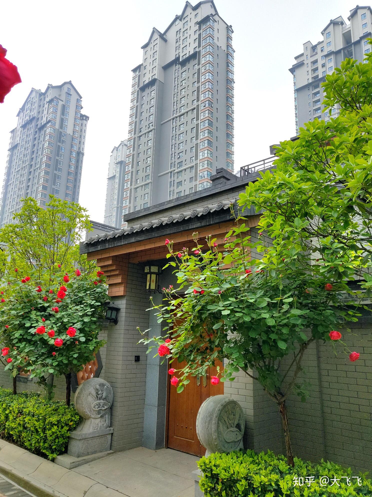 亚星江南小镇实景拍摄