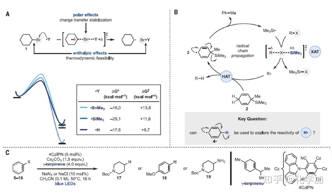 Science:利用光催化卤原子转移和基团转移化学实现去官能团化过程 - 知乎