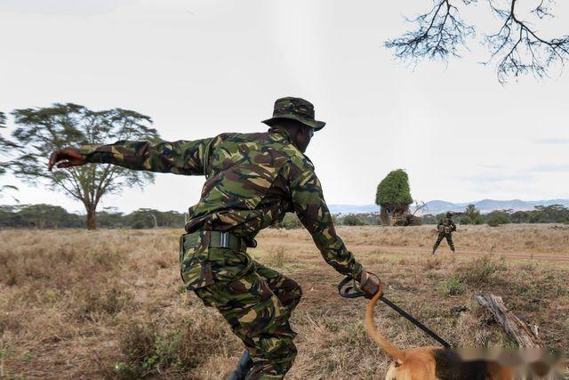 一个盗猎者的自述从盗猎者到守护者善良背后不为人知的秘密