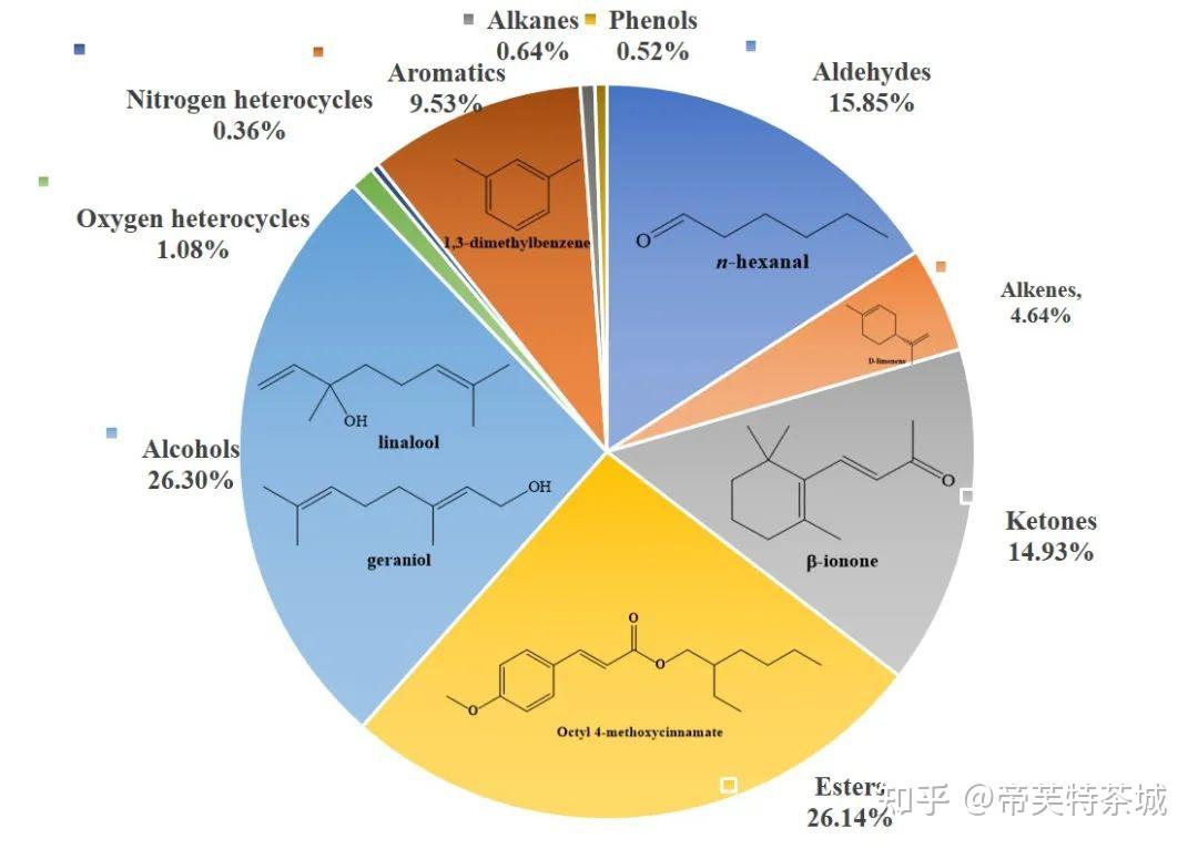 现在这些大模型哪个在代码编写上表现的最好呀 知乎