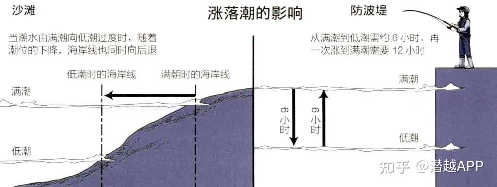 潮汐的秘密:钓鱼人的双刃剑 - 知乎