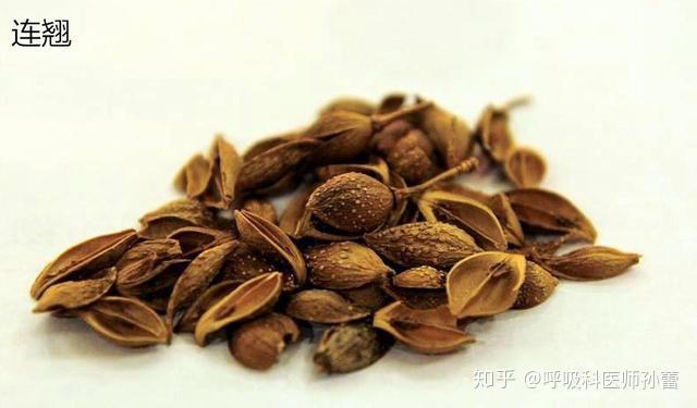 麻杏石甘湯合葦莖湯加味:麻黃10g,杏仁10g,石膏30g,甘草6g,葦莖10g,薏