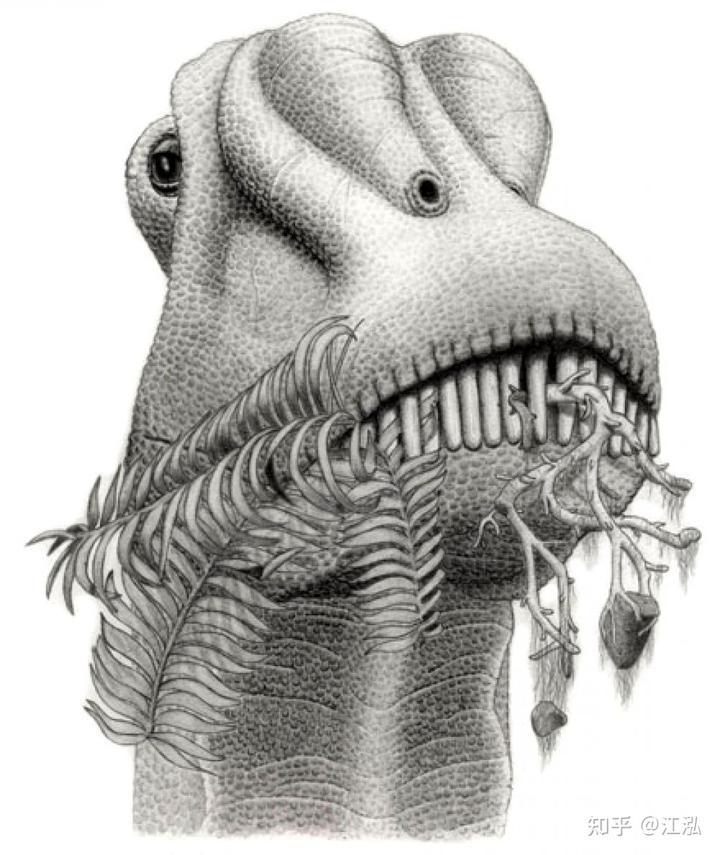图注:属于蜥脚类的腕龙靠吞食为主由于进食量巨大,即便蜥脚类停止进食