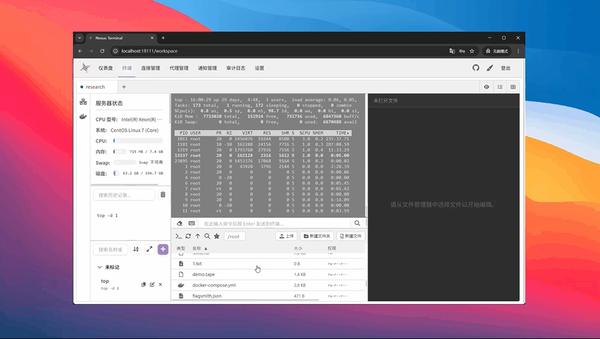 Nexus Terminal 使用指南：如何搭建高颜值 Web SSH 客户端 - 知乎