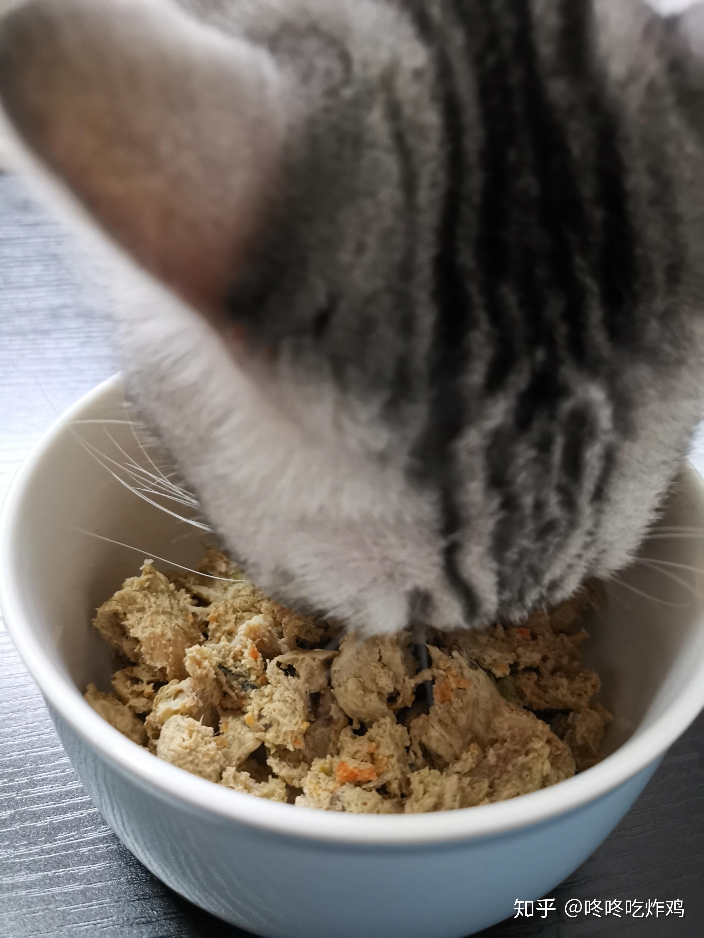 给爱喵自制猫粮猫饭