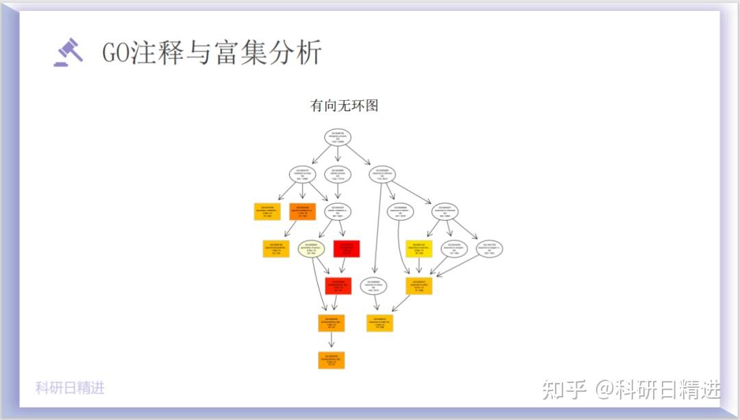 GO注释与富集分析详解 - 知乎