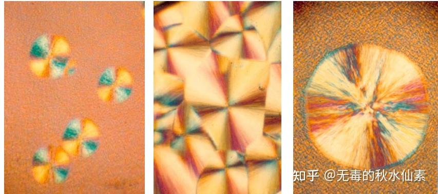高分子物理复习(4.1)——高分子晶态结构 - 知乎