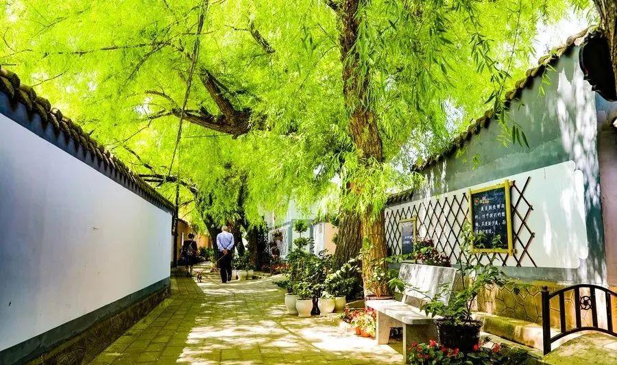 花村顾家善这里有你向往的生活