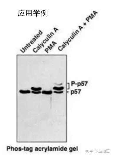 师姐教的wb检测技术2小时可通关