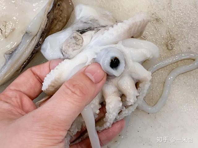 墨鱼这样处理才干净简单爆炒超下饭