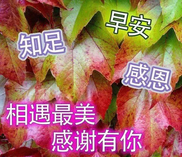 太陽天空照,花兒對你笑,懶蟲還在睡大覺,發條短信把你叫,催你早起對鏡