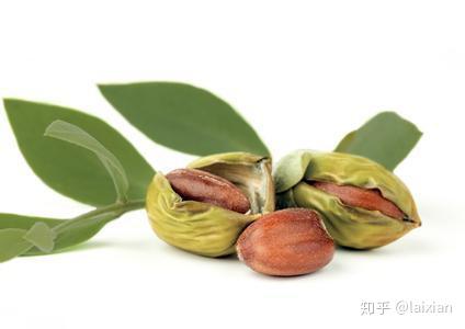 霍霍巴籽油籽油滋润肌肤的神奇植物油