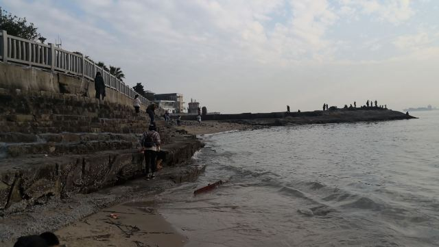 知乎上最全的厦门攻略:吃住行完保姆级攻略!三日游1200元搞定!五一就去这儿了!-厦门攻略自由行及路线