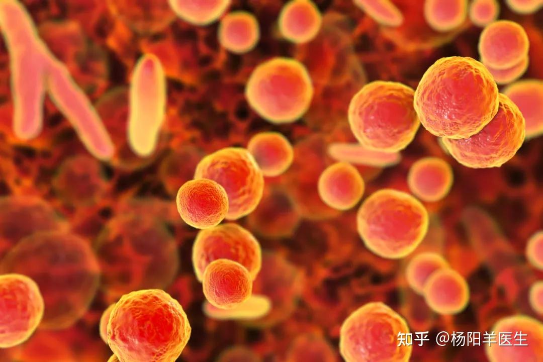 支原体感染是性病吗需要治疗吗治不好不能怀孕吗