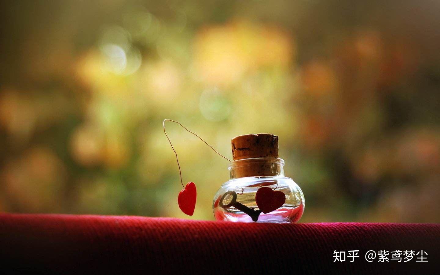 何为伴侣柴米油盐酱醋茶完整版 v2-37f08bde61d18f6e9ae2da887e5f856a_r.jpg