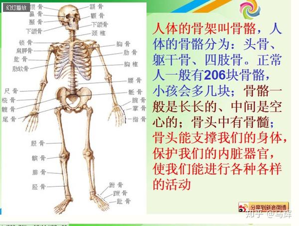 干货 健康体重的管理 知乎