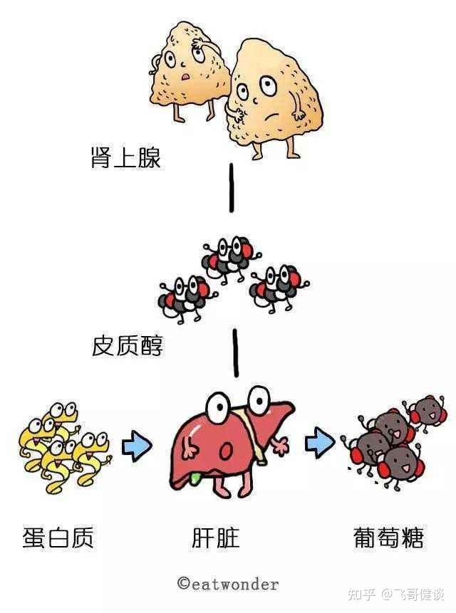 除了女性容易压力比男性还高以外,女性皮质醇分泌过高还会造成黄体素