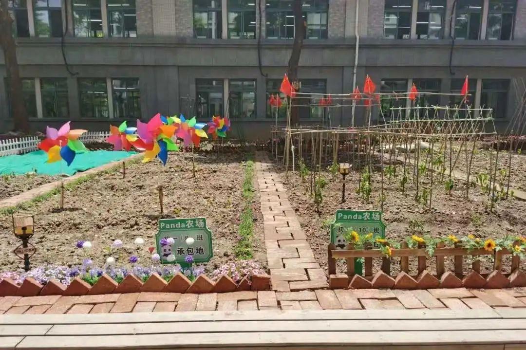 儿童友好中国实践劳动教育与一所建在农场里的校园
