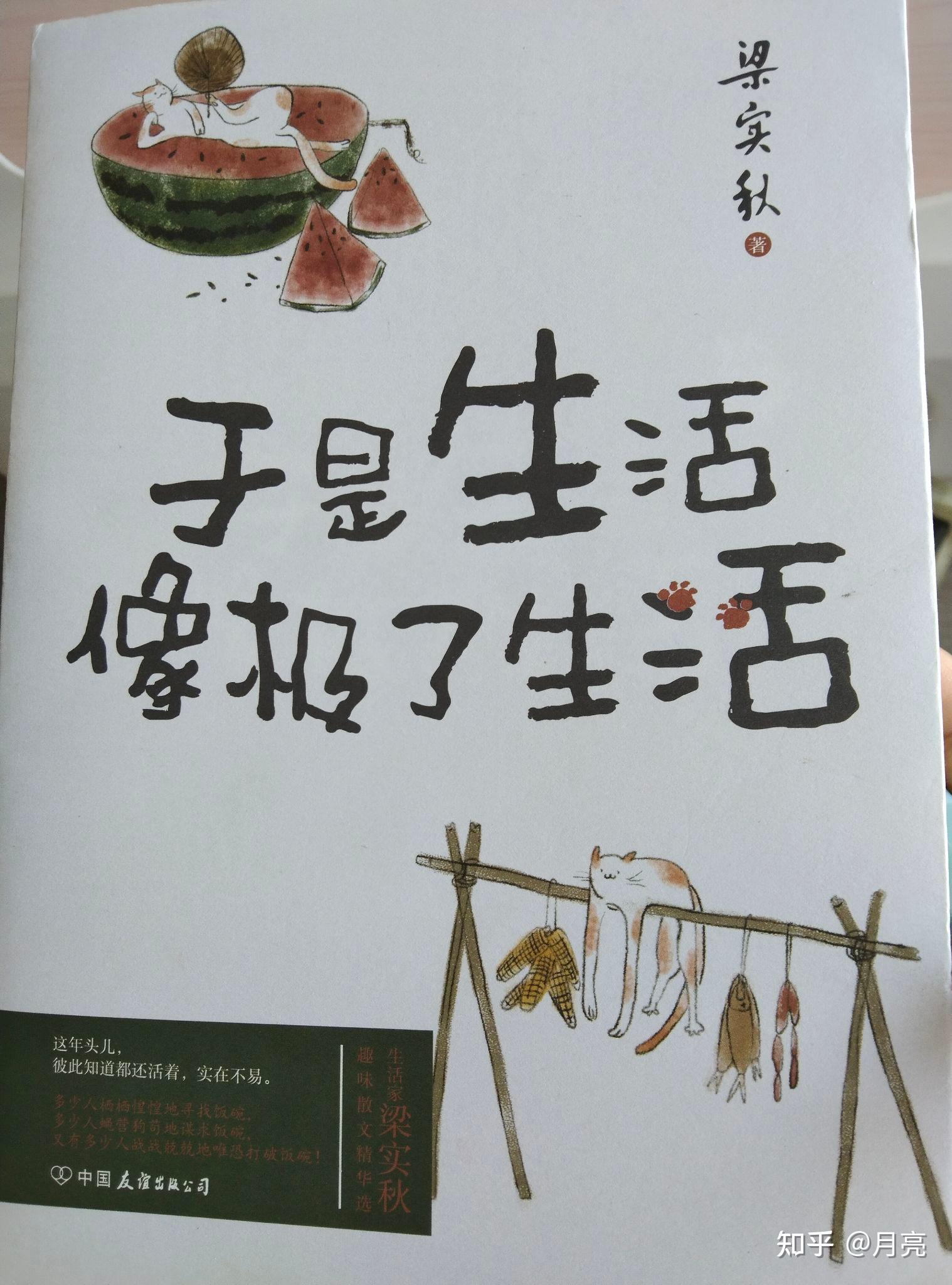 生活到底是什么