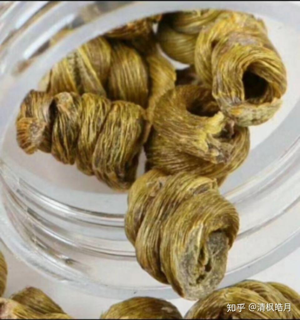 九大仙草之王霍山石斛