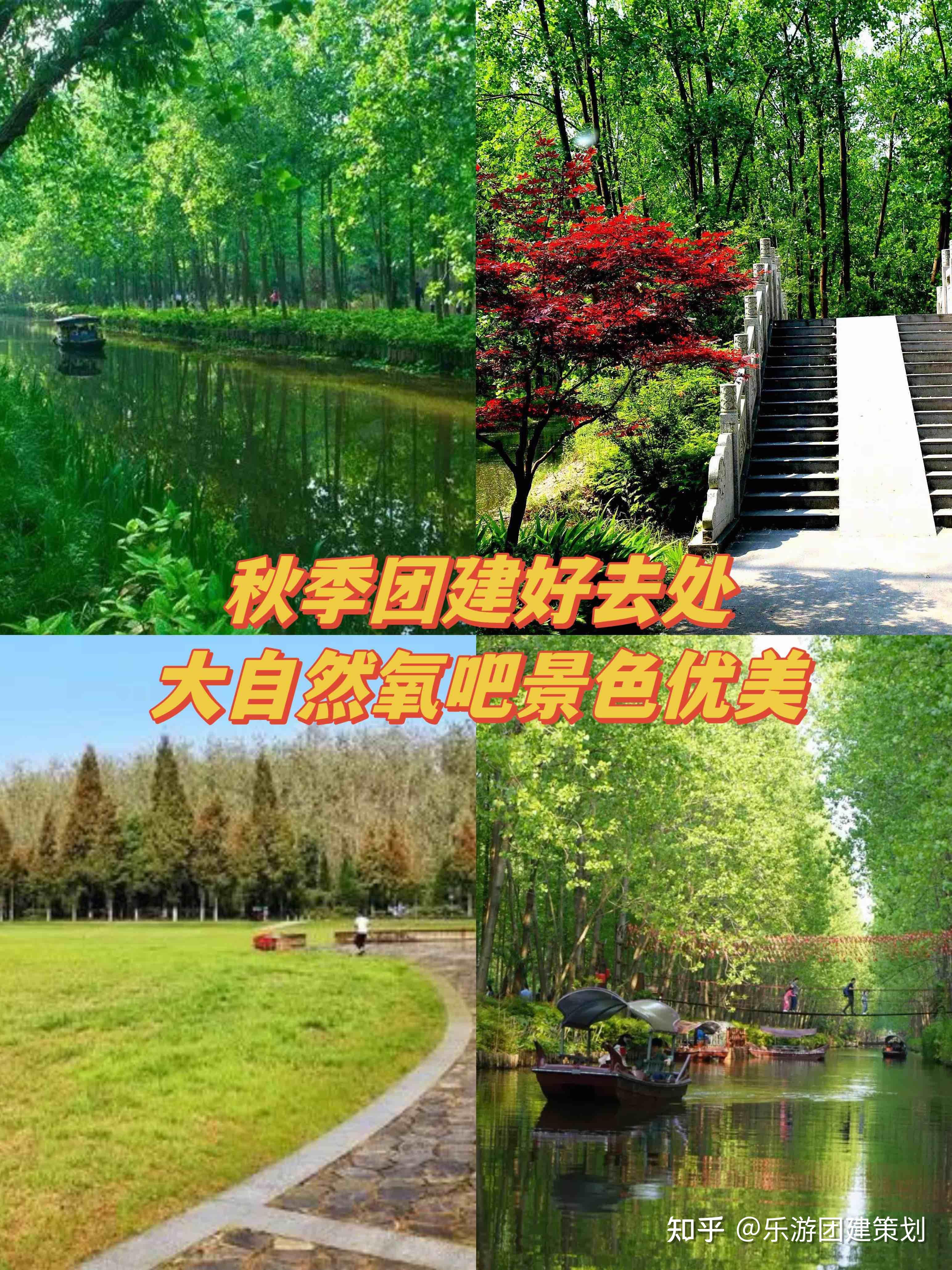 合肥团建8个赏秋宝藏地合集分享 - 知乎