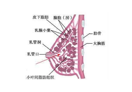 v2-385c3c0131640d122d8ab605d8a16bcc_1440w.jpg?source=172ae18b