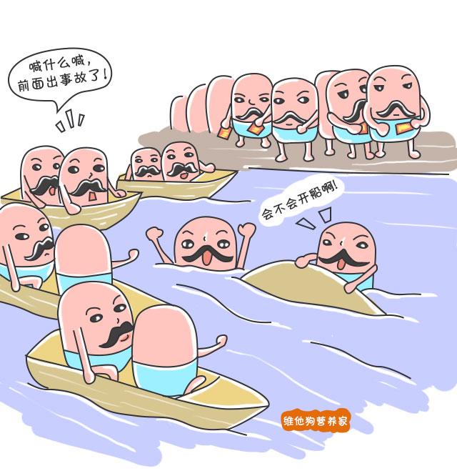高血脂是哪出了问题 v2-3865dd0c82af1bb24ac8df7af5657b59_r.jpg