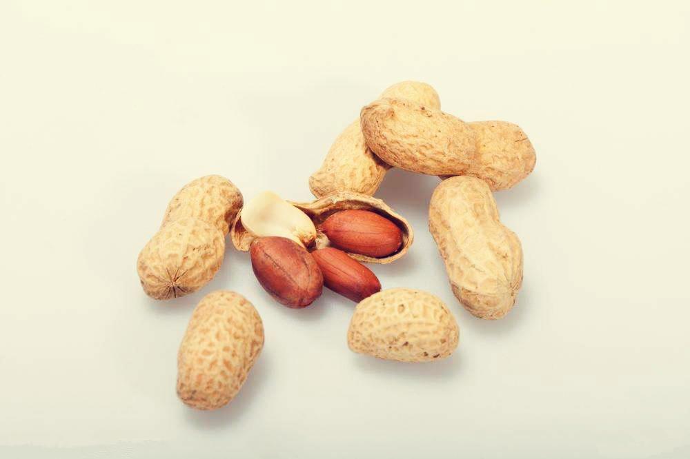 红被子,里面睡个白娘子(有些地方叫白胖子)",说的就是花生的传说