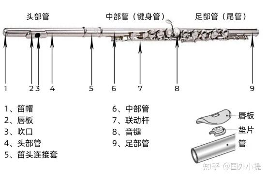 竖笛发声原理结构图图片