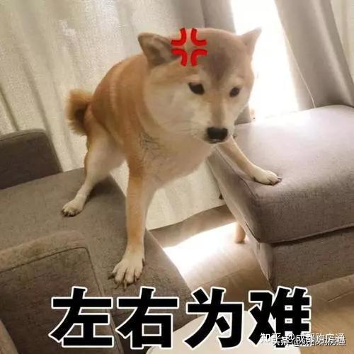 极刚小户型 建面79 首付最低15万 看or不看 知乎