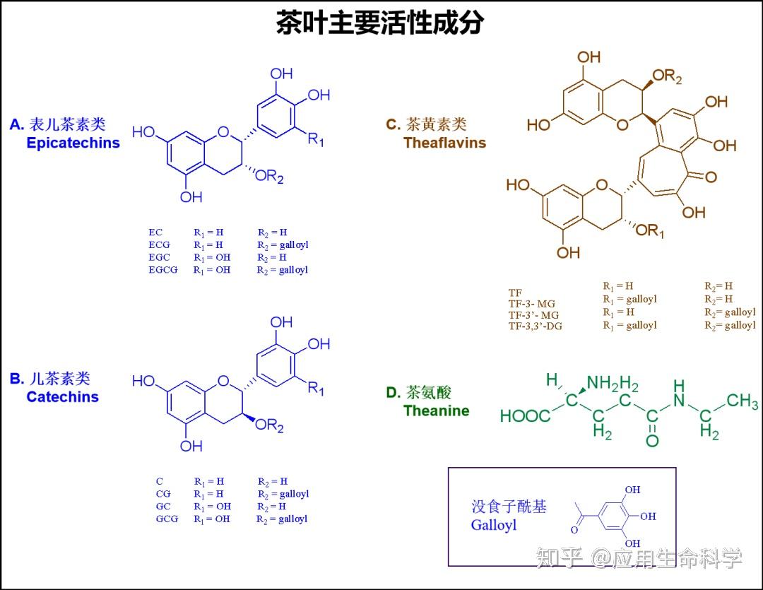 茶多酚化学结构式图片