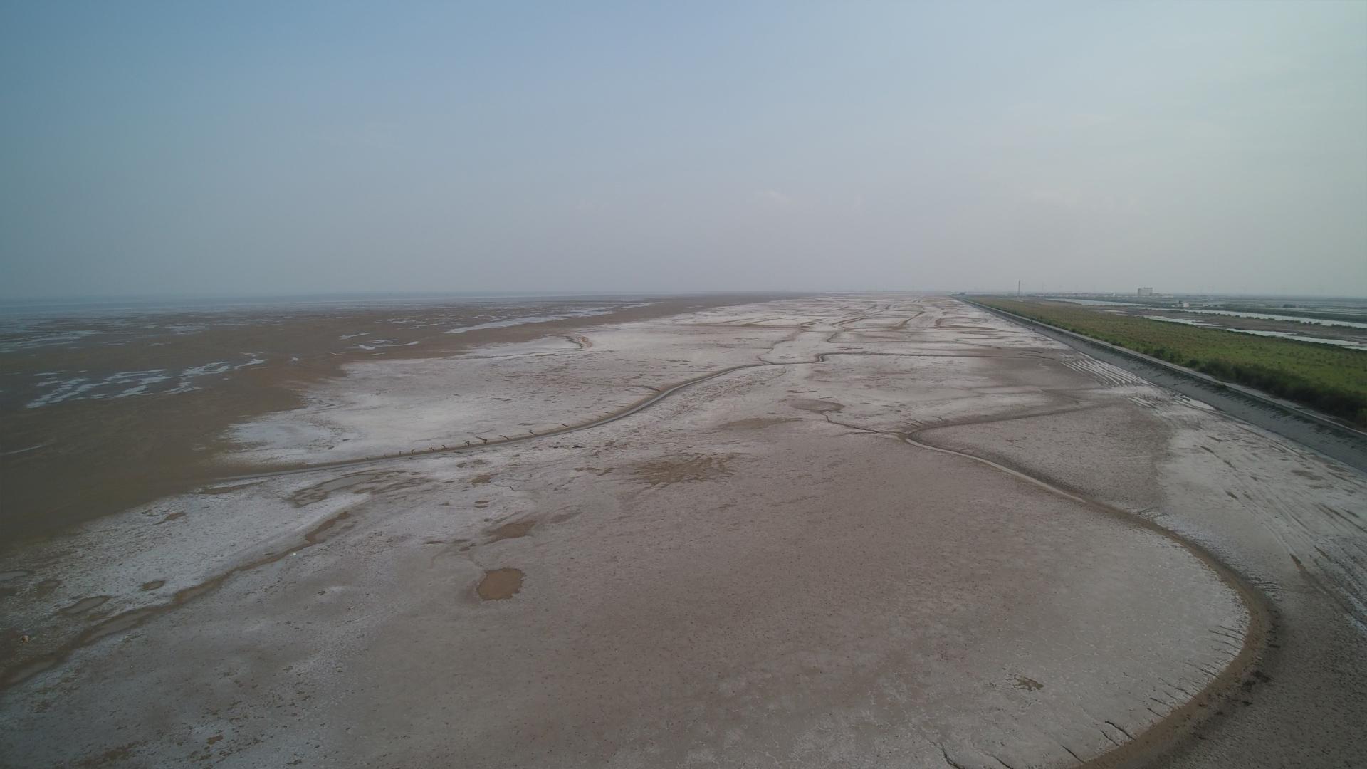 靠海不见海,是东营人常挂在嘴边的一句话,无处不在的盐碱地,再次说明