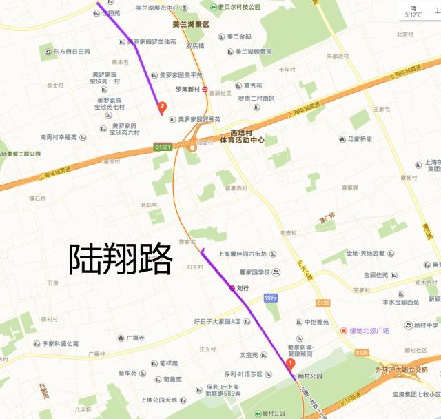 陆翔路罗店大居贯通图片