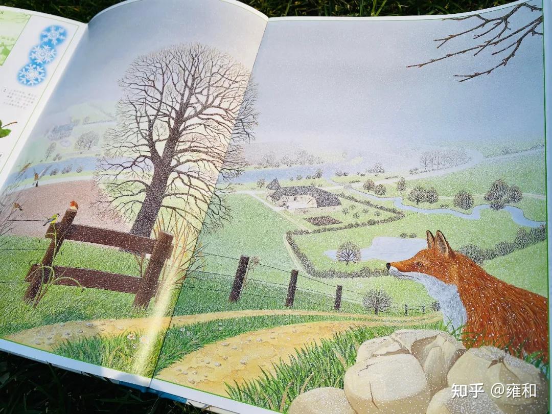 比艺术画册还精美的自然绘本，带孩子沉浸体验生命珍贵瞬间，开启新世界的兴趣大门！ - 知乎