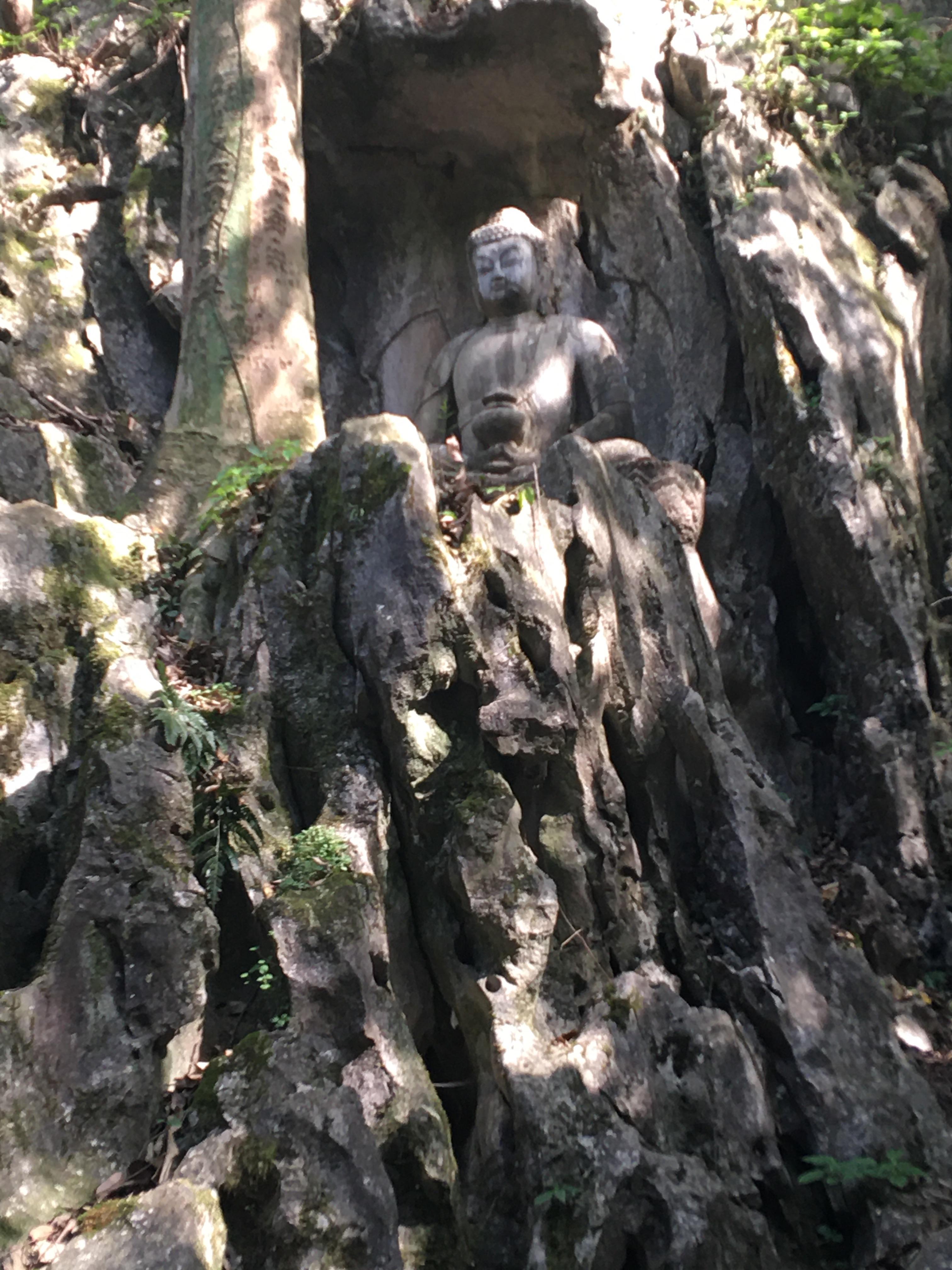 【浙江游记】杭州-灵隐寺飞来峰——溪山处处皆可庐，最爱灵隐飞来孤 - 知乎