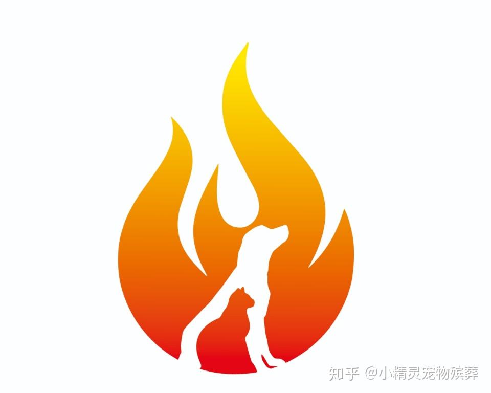 宠物火化殡葬行业怎么样需要具备什么条件